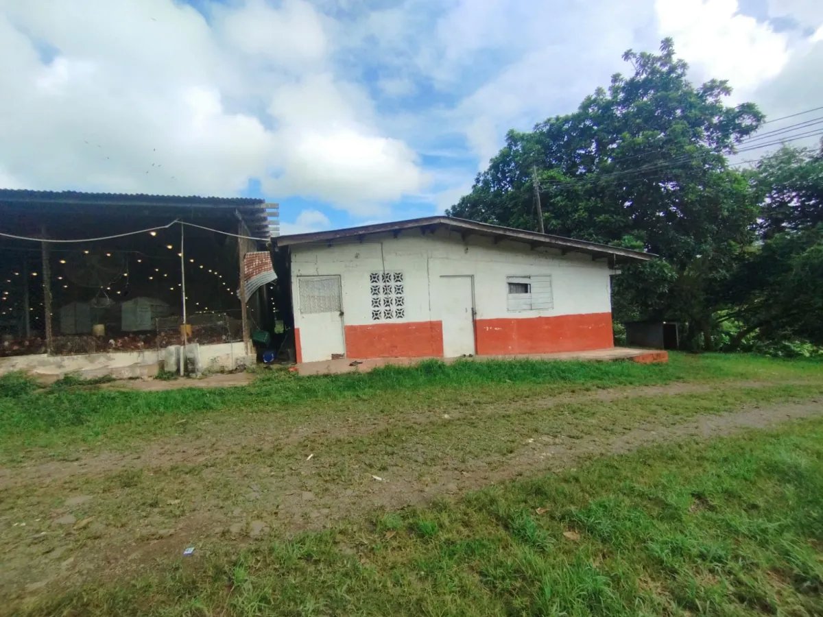 Se vende terreno con Planta Avícola