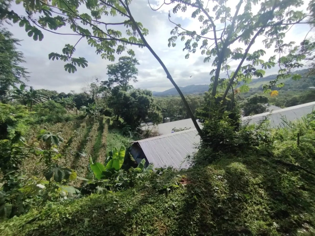 Se vende terreno con Planta Avícola