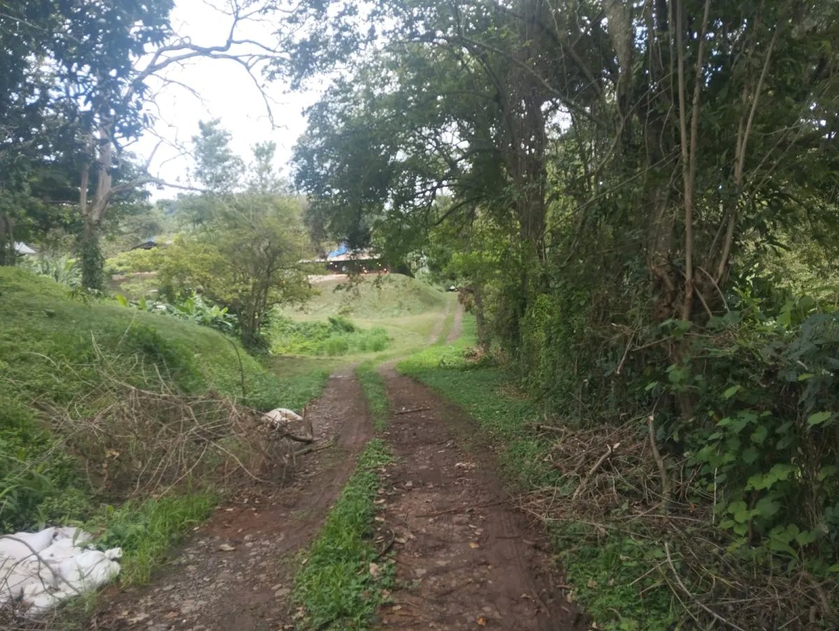 Se vende terreno con Planta Avícola