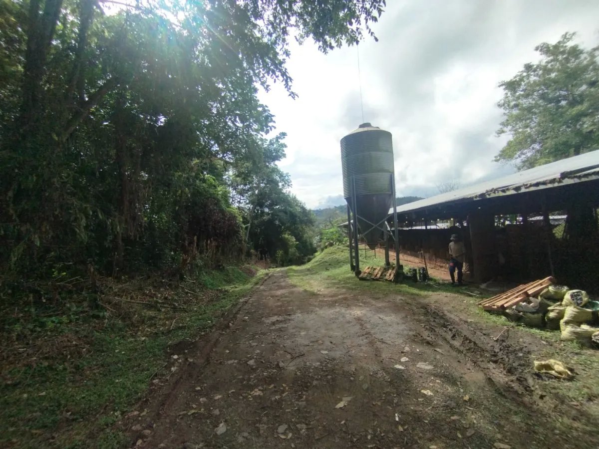 Se vende terreno con Planta Avícola