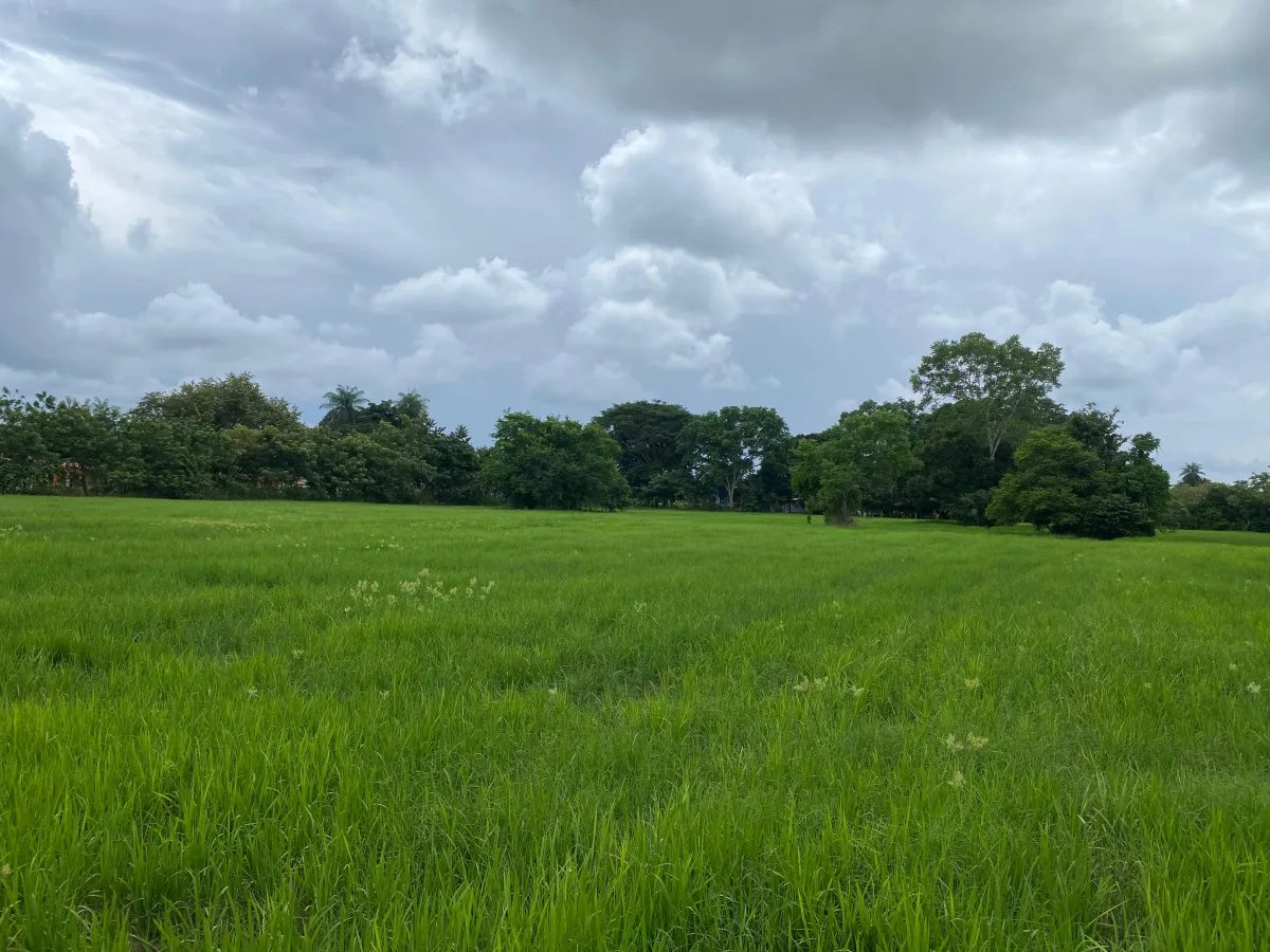 Park-Like Acreage with Endless Potential