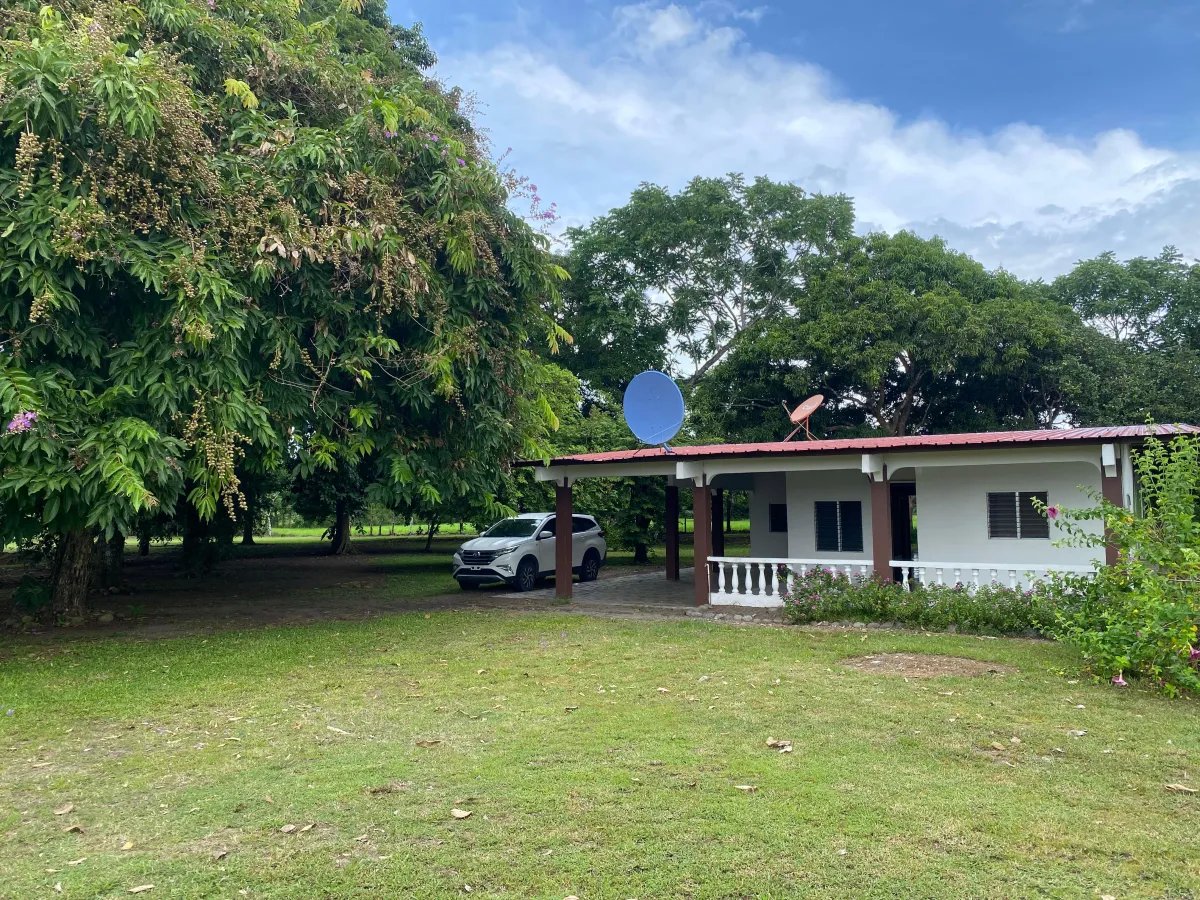 Park-Like Acreage with Endless Potential