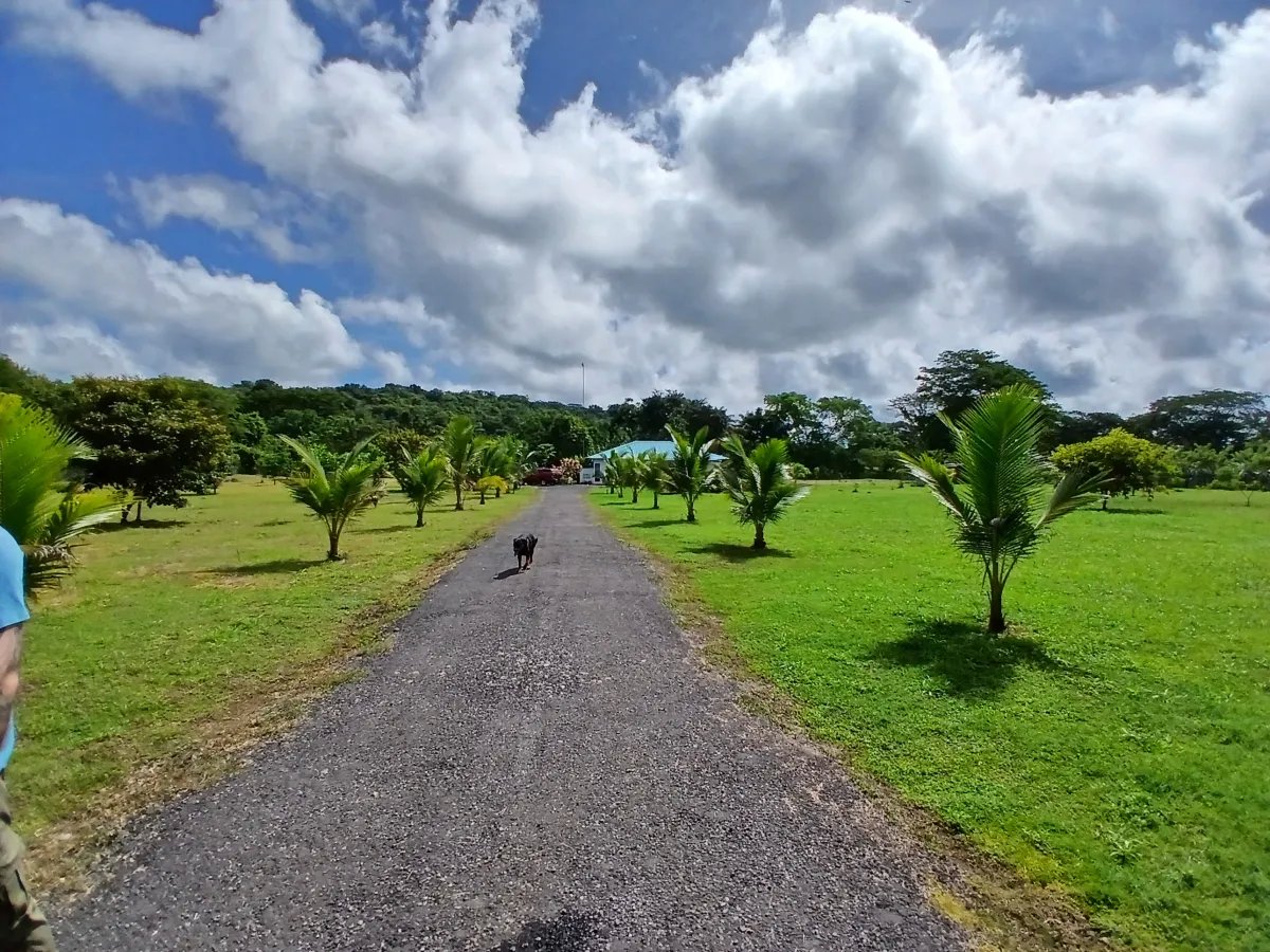 Farm For Sale in Las Lomas