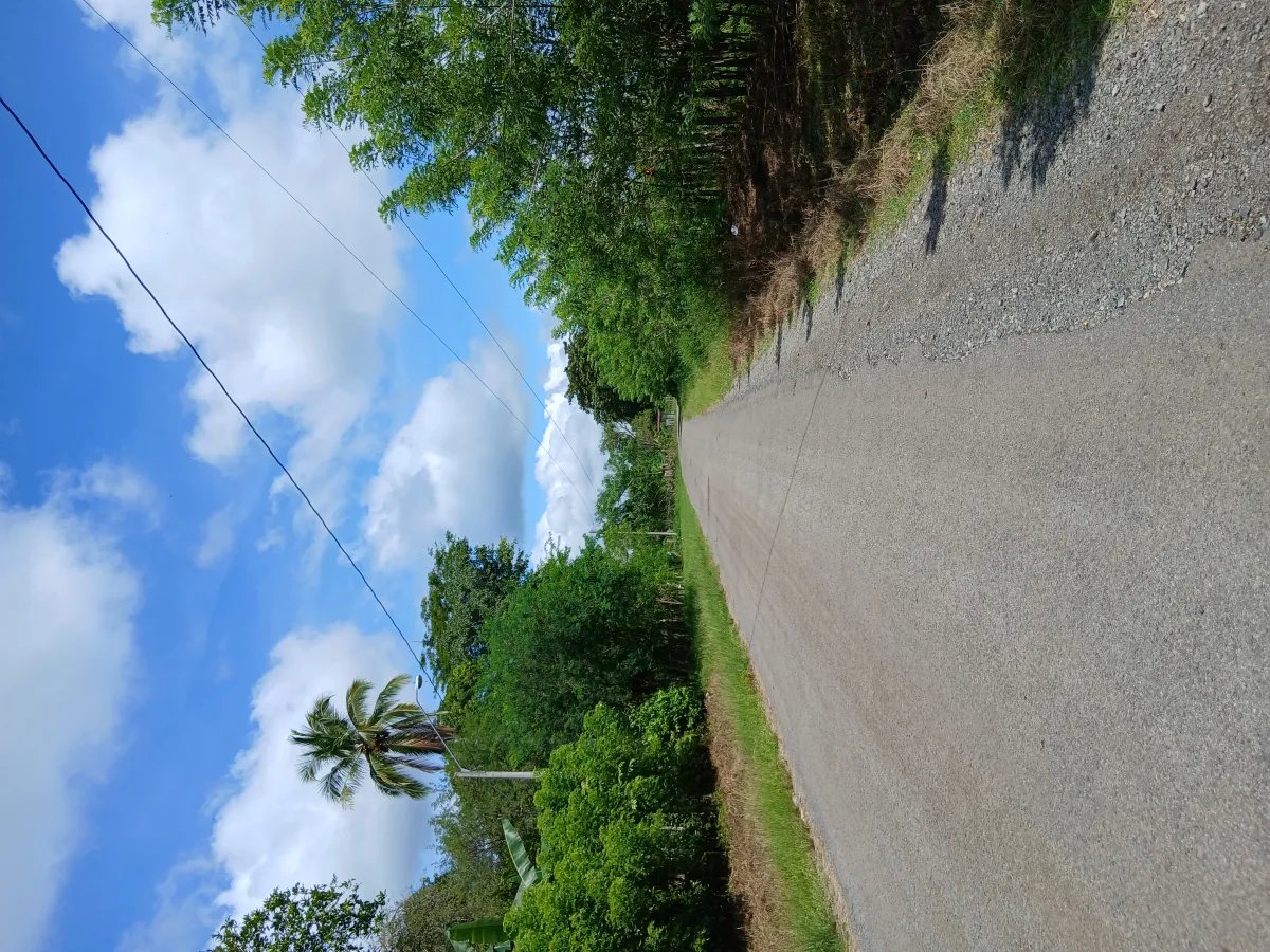 Farm For Sale in Las Lomas