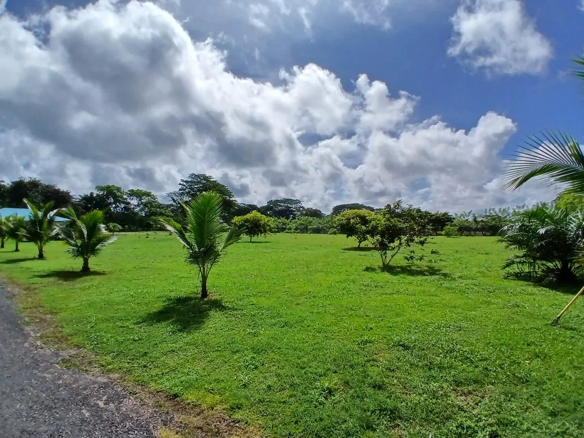 Farm For Sale in Las Lomas