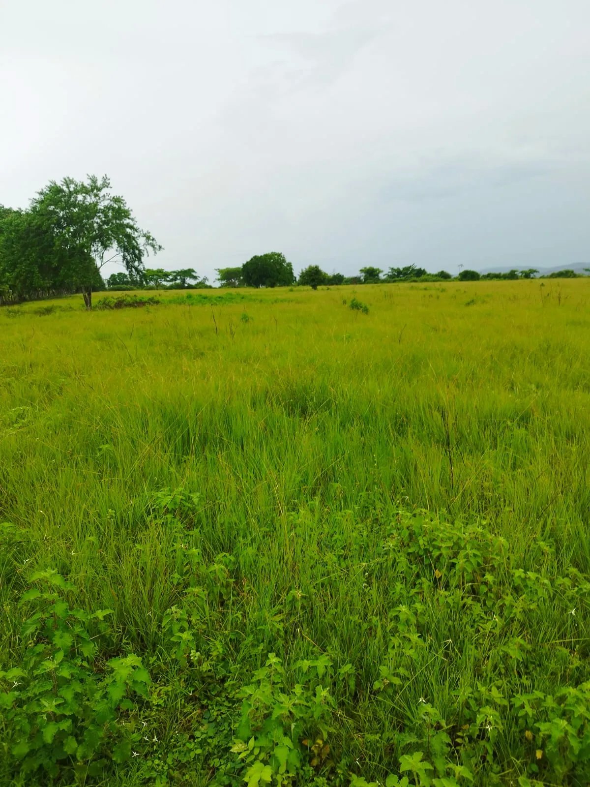 Venta de Finca Exclusiva en Entorno Natural Privilegiado