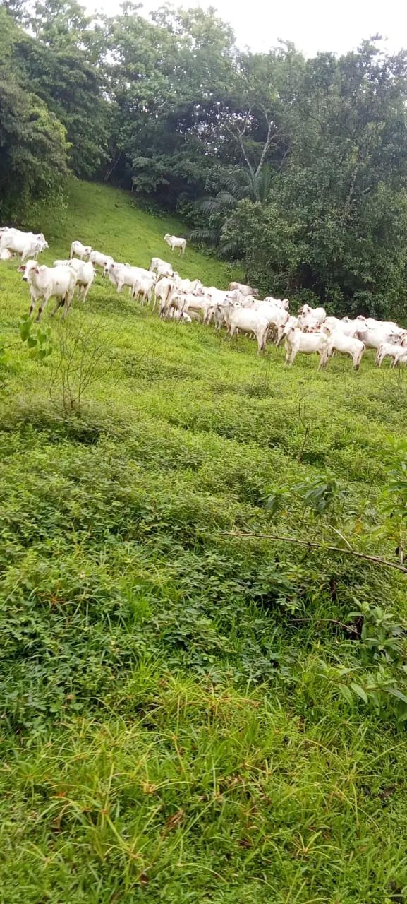 Venta de Finca Exclusiva en Entorno Natural Privilegiado