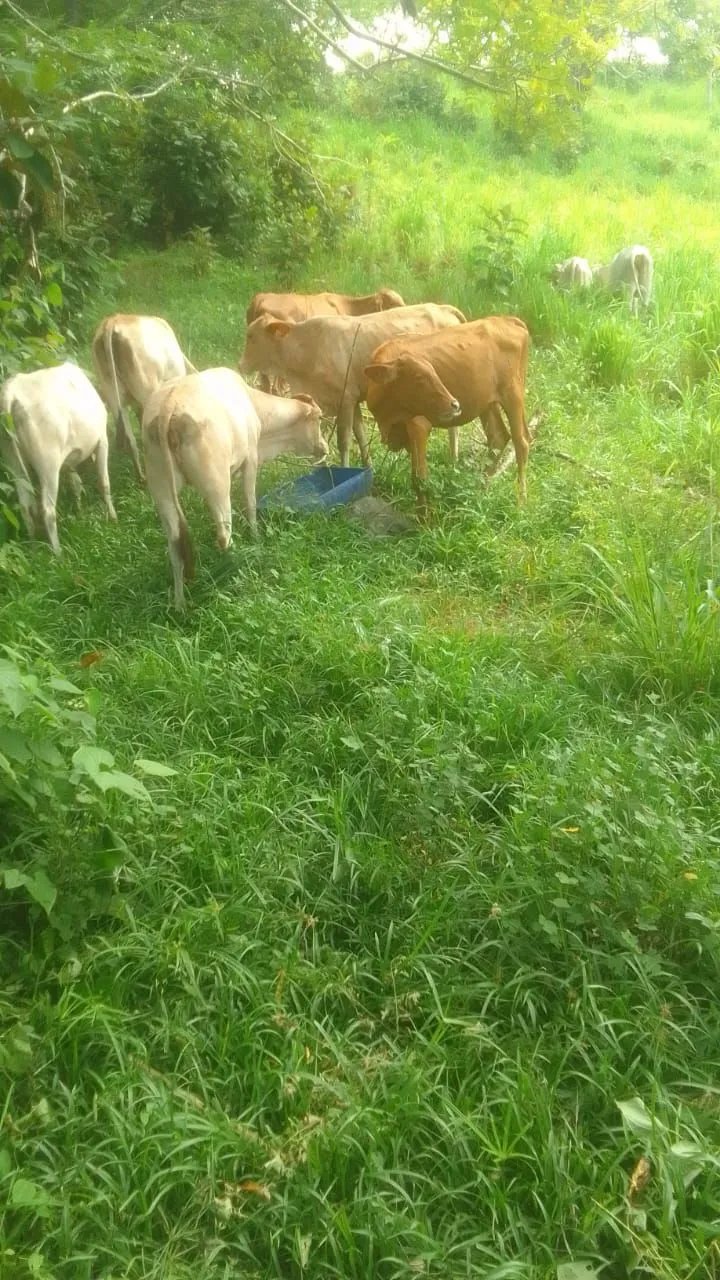 Venta de Finca Exclusiva en Entorno Natural Privilegiado