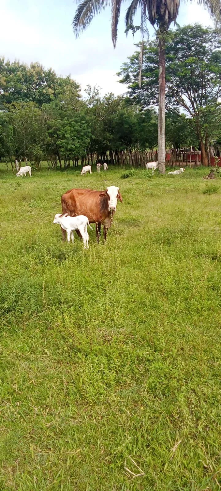 Venta de Finca Exclusiva en Entorno Natural Privilegiado