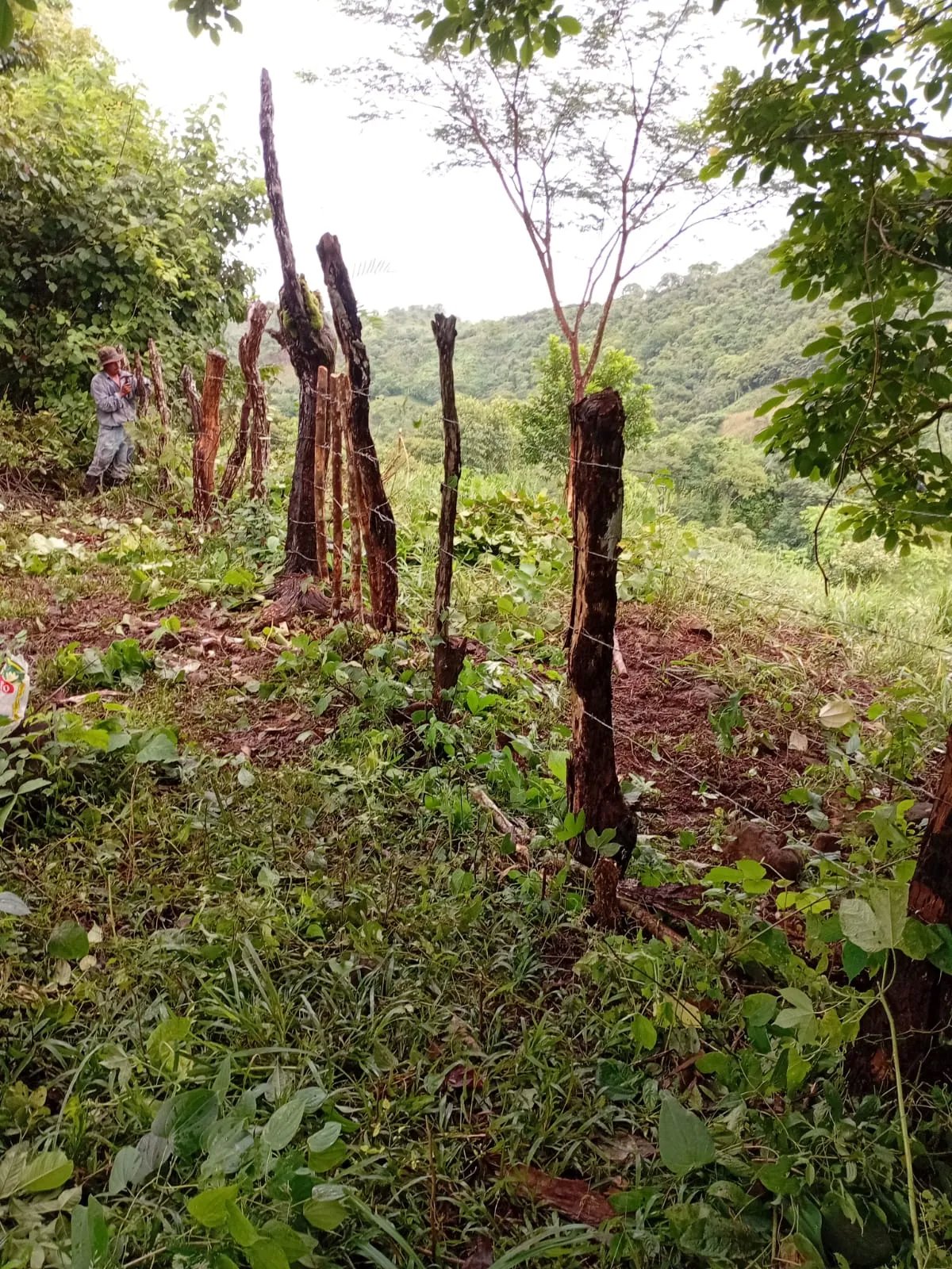 Venta de Finca Exclusiva en Entorno Natural Privilegiado