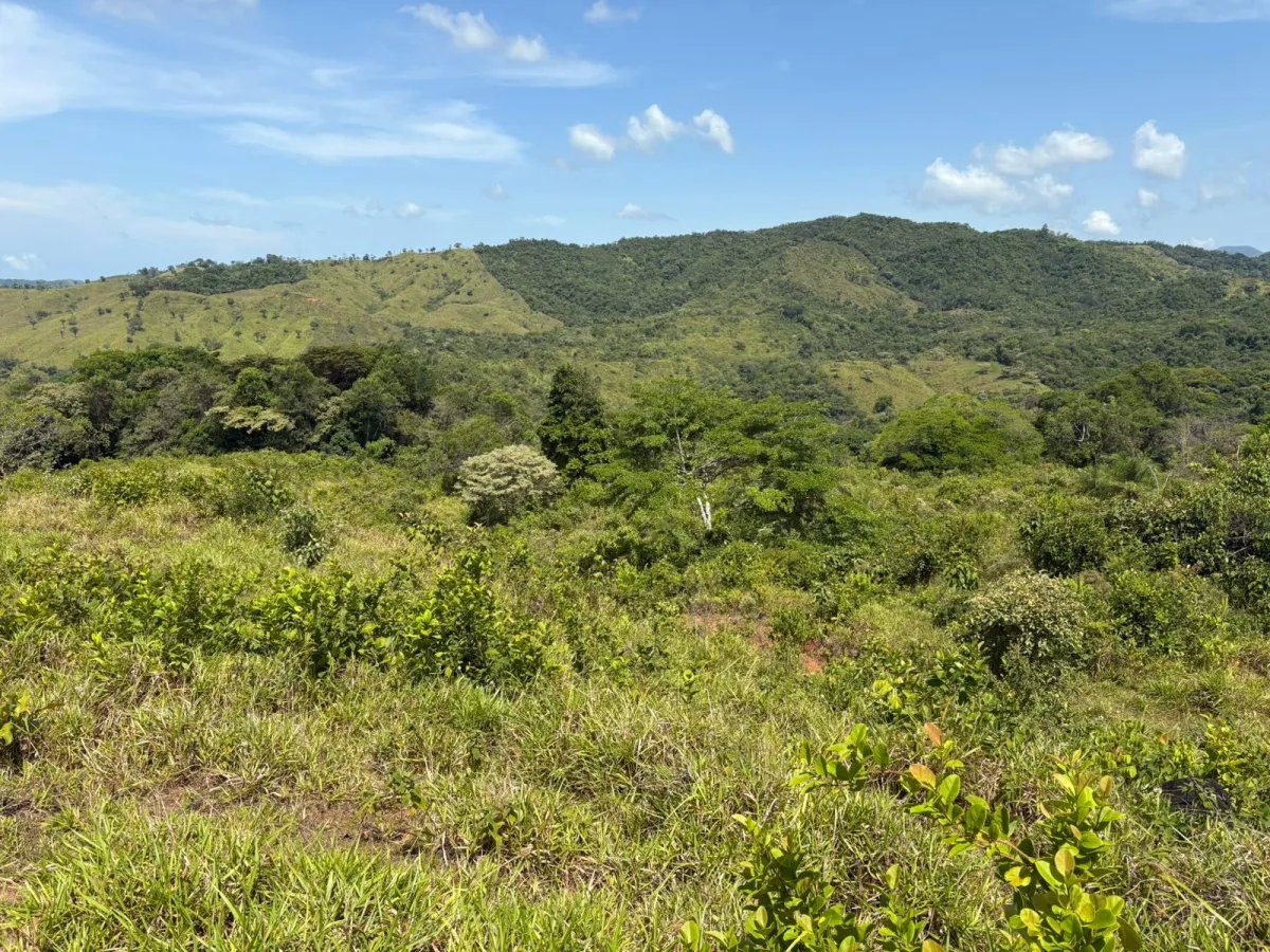 Venta de Finca Exclusiva en Entorno Natural Privilegiado