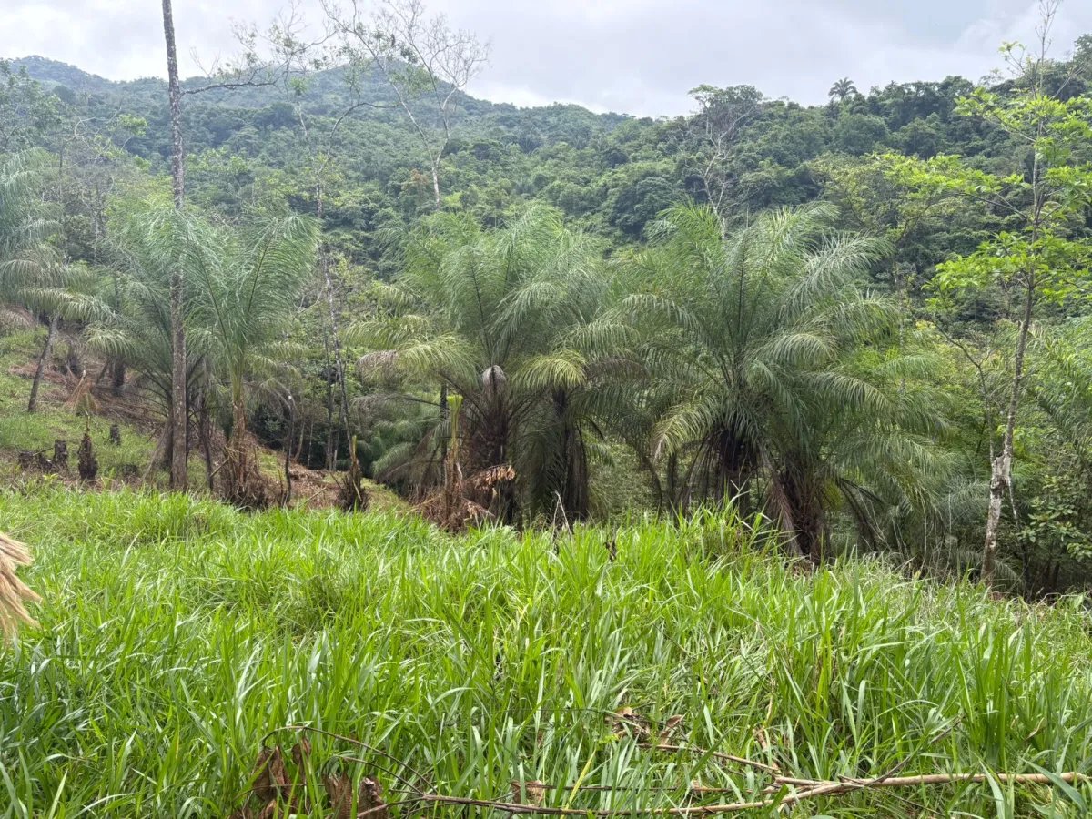 Venta de Finca Exclusiva en Entorno Natural Privilegiado