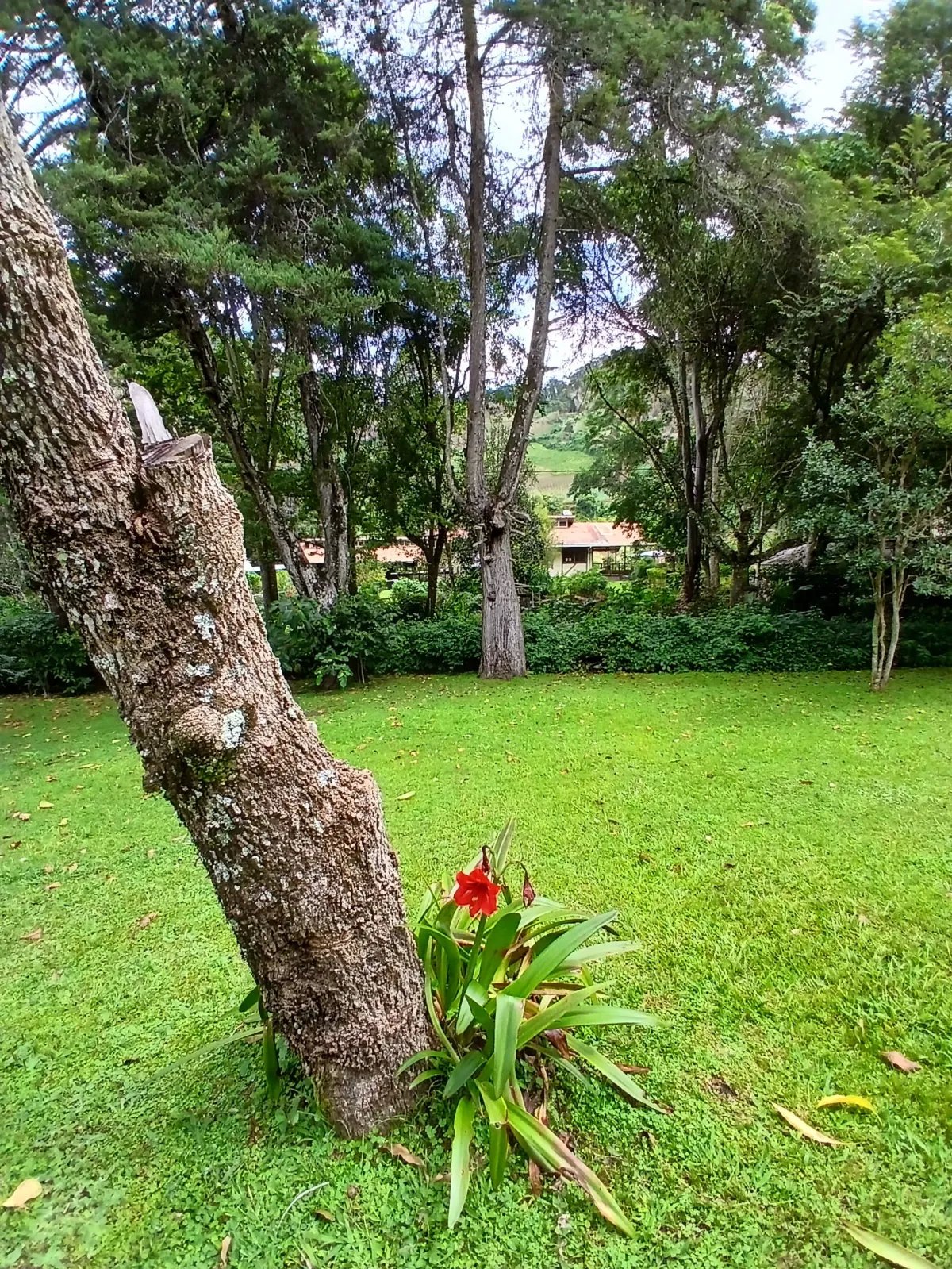 Ranch For Sale in Camino Real
