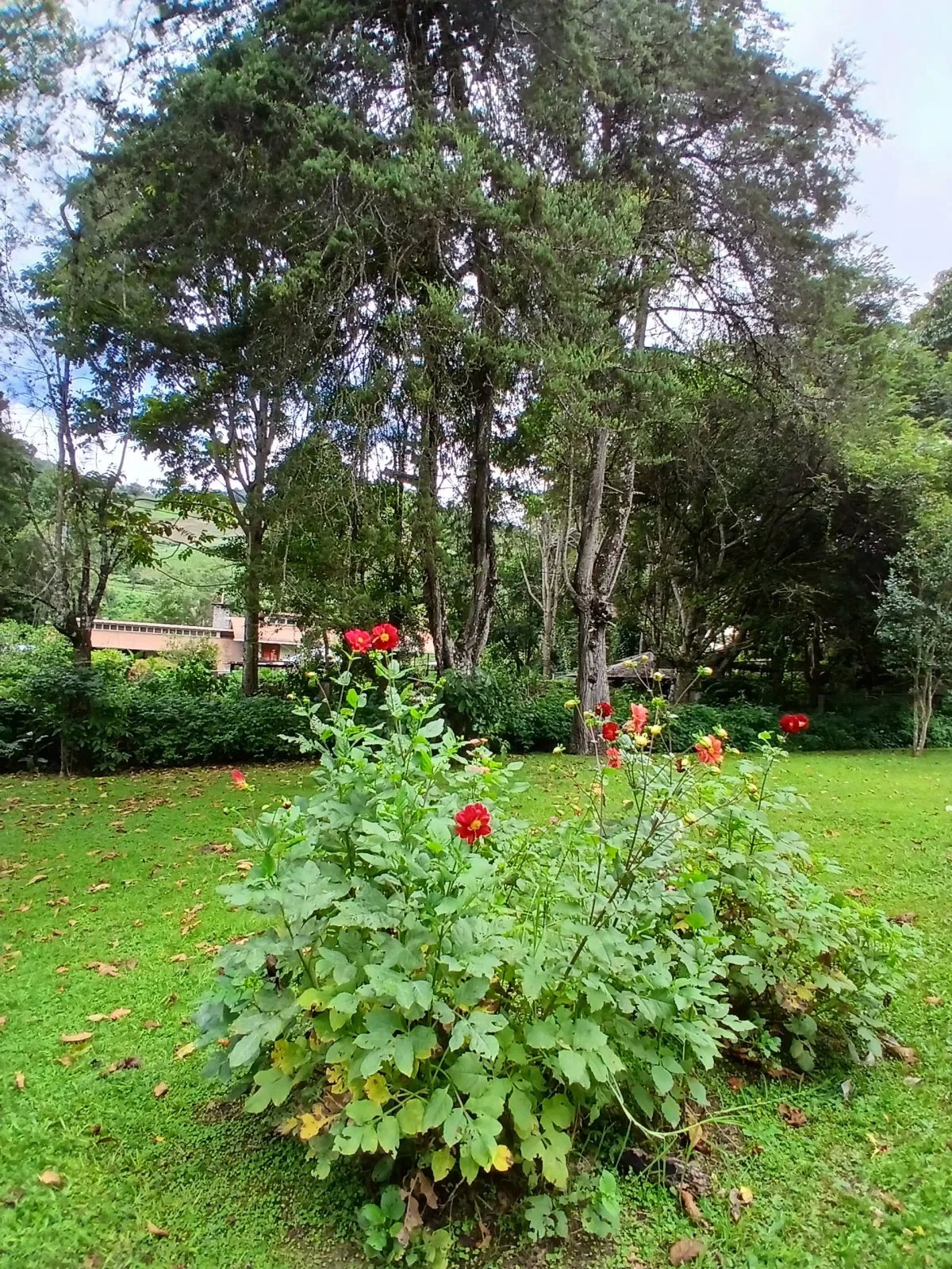 Ranch For Sale in Camino Real