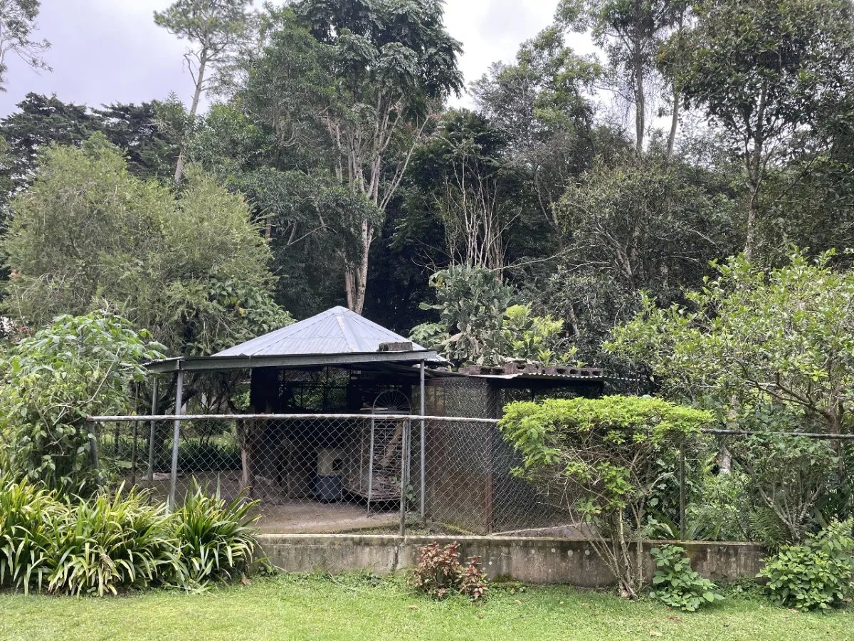 Beautiful park property in a refreshing high-altitude location
