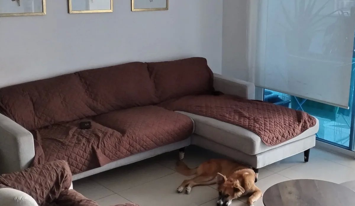 Venta de Apartamento en PH MEI  Betania