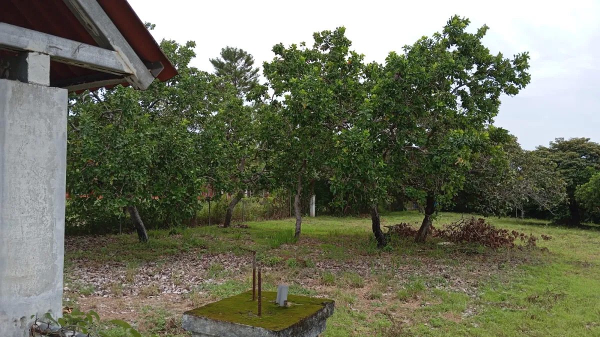 Venta de Terreno en Coronado