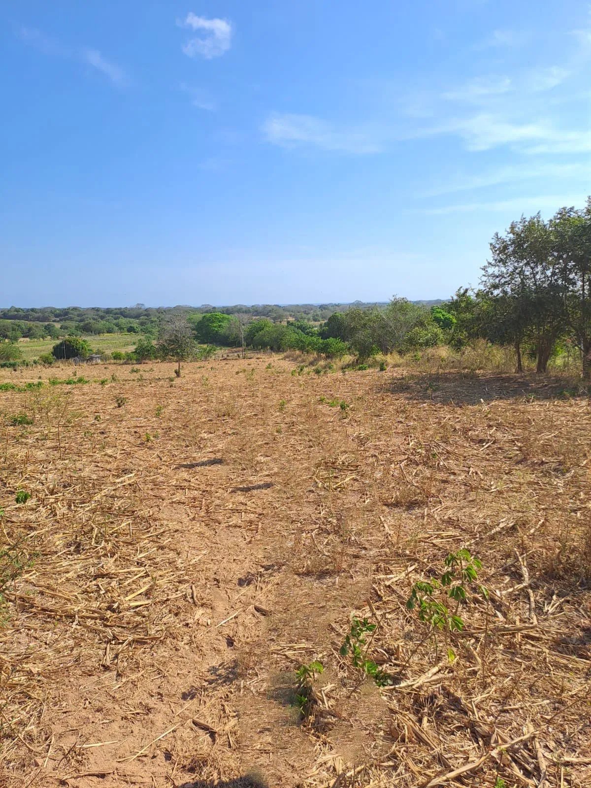 ¡Terreno en Venta! Invierte en tu Futuro Hoy