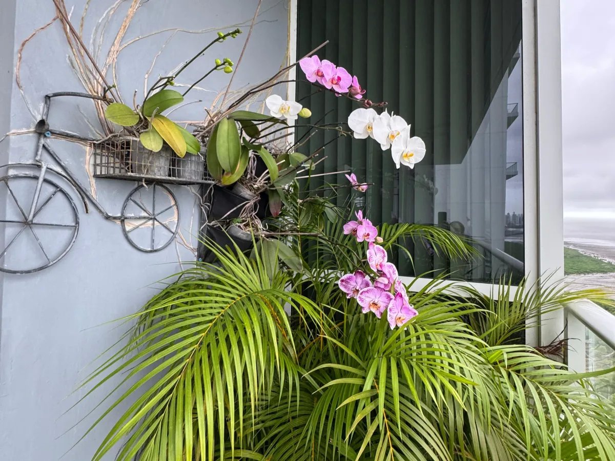 Apartment For Sale in Costa del Este