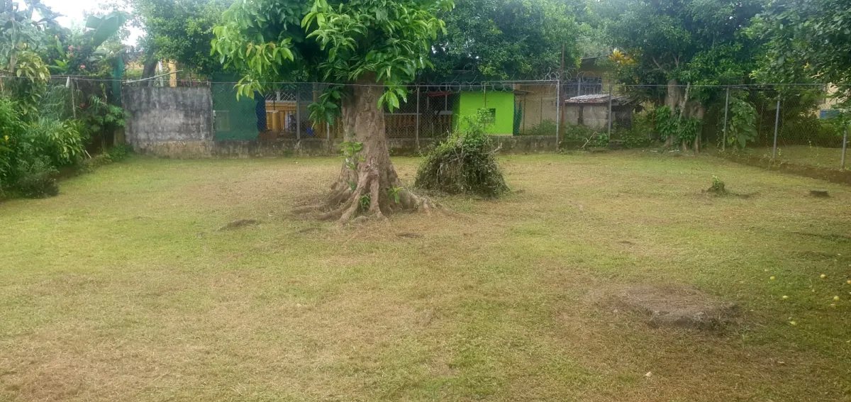 Single Family Attached For Rent in David