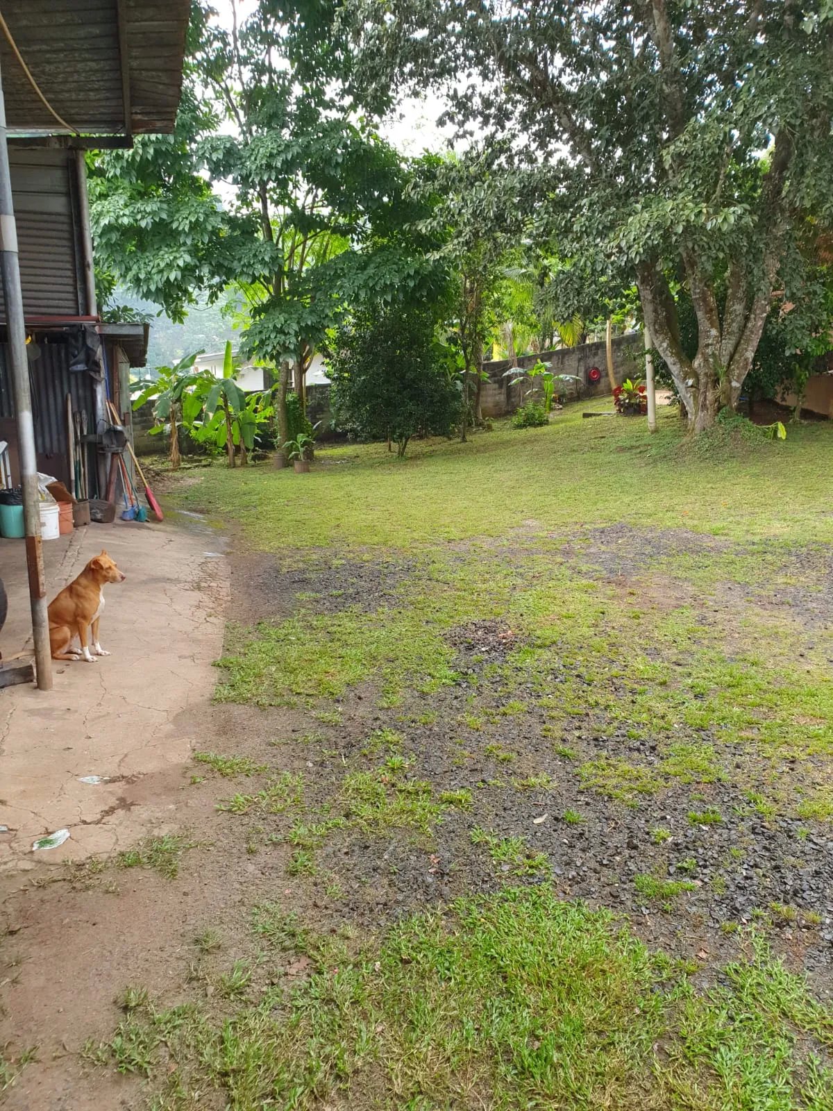 Se vende casa en El Nazareno La Chorrera