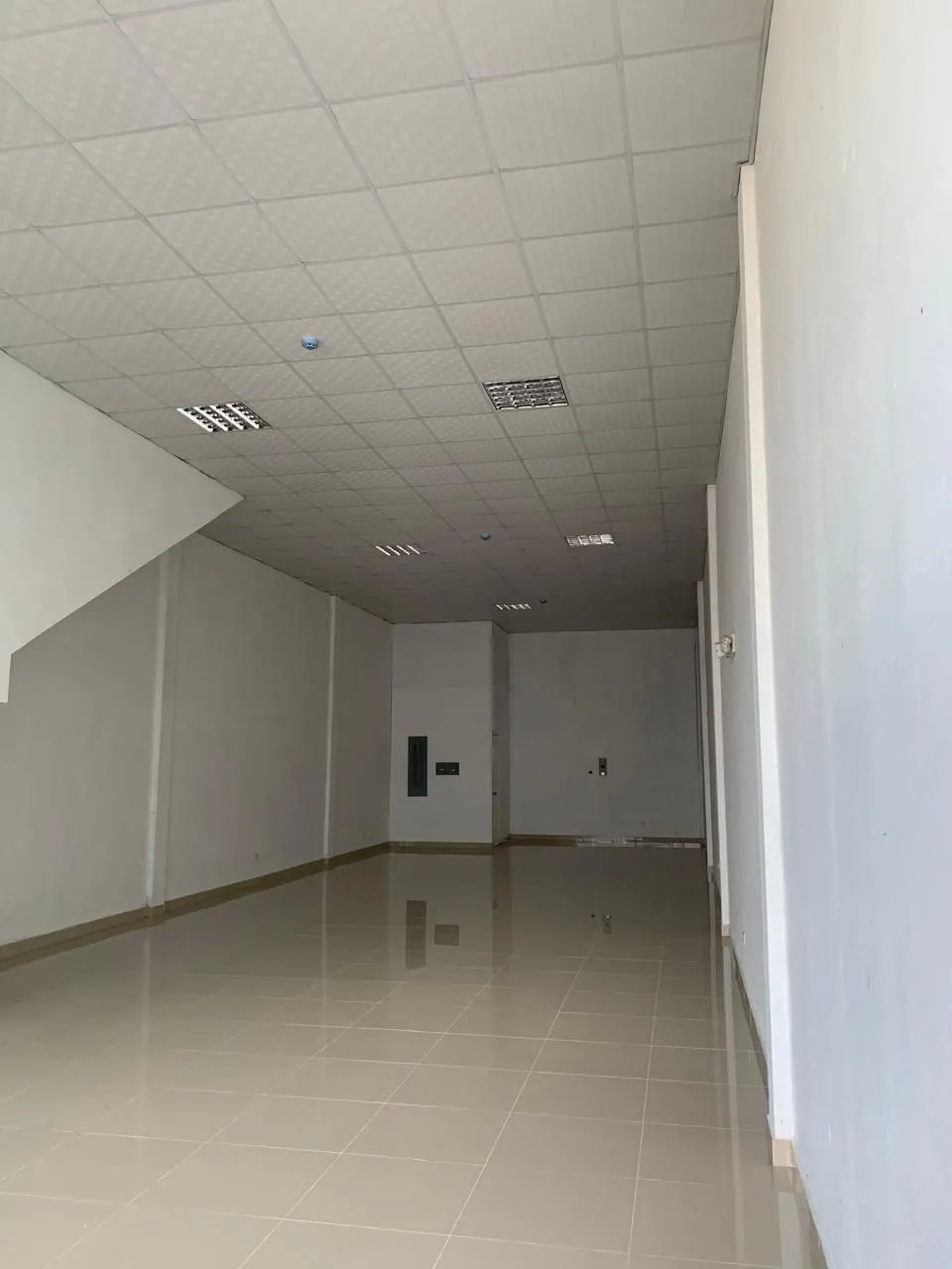Business For Rent in Avenida José Agustín Arango