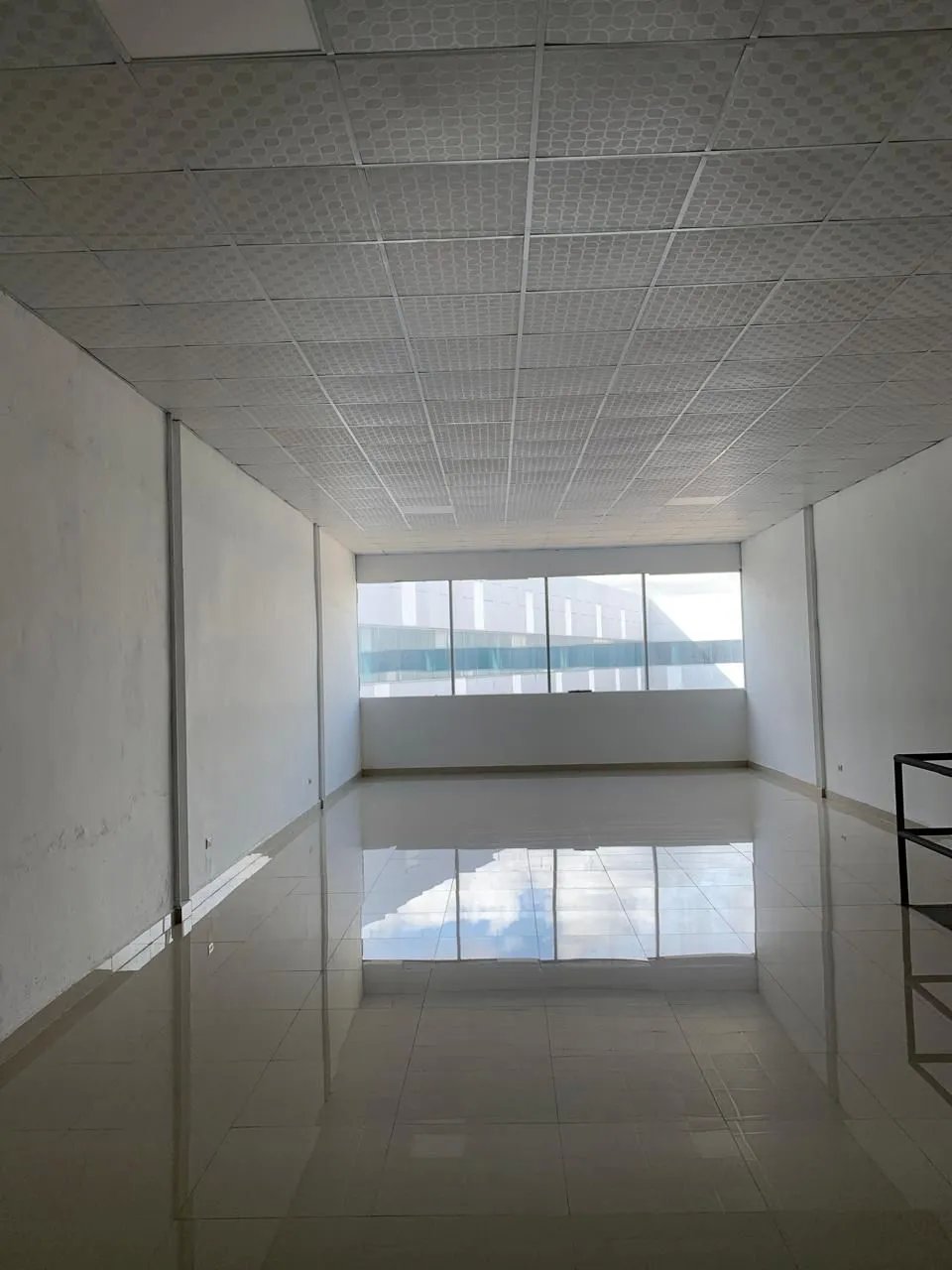 Business For Rent in Avenida José Agustín Arango