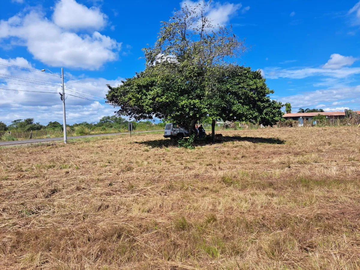 Venta de Terreno en Aguadulce