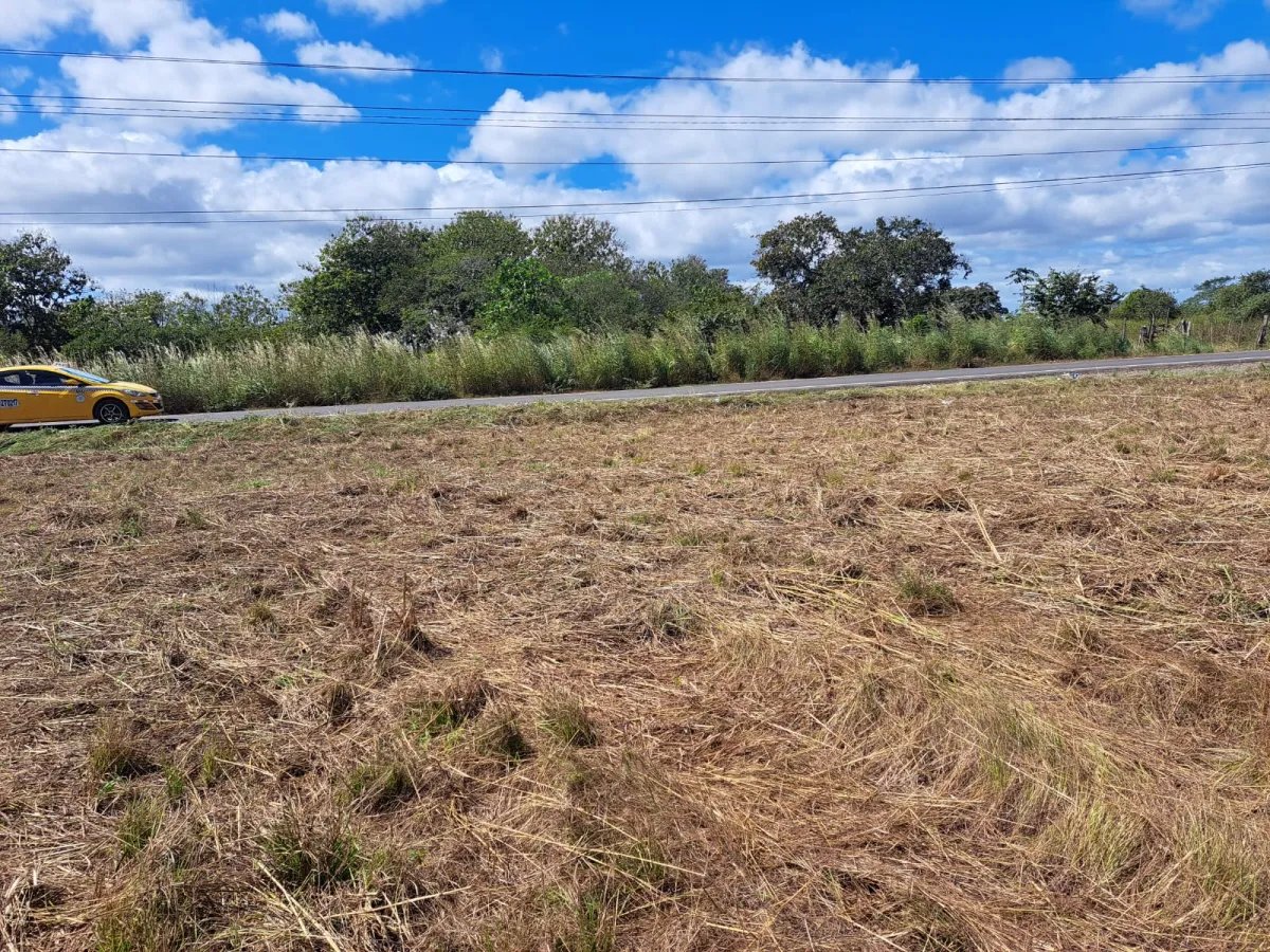Venta de Terreno en Aguadulce