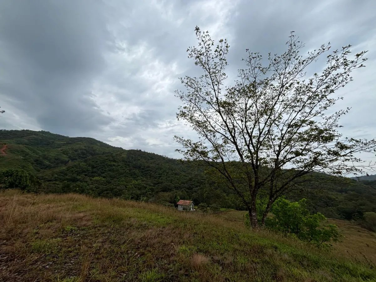 Venta de Terreno en Torio, Veraguas