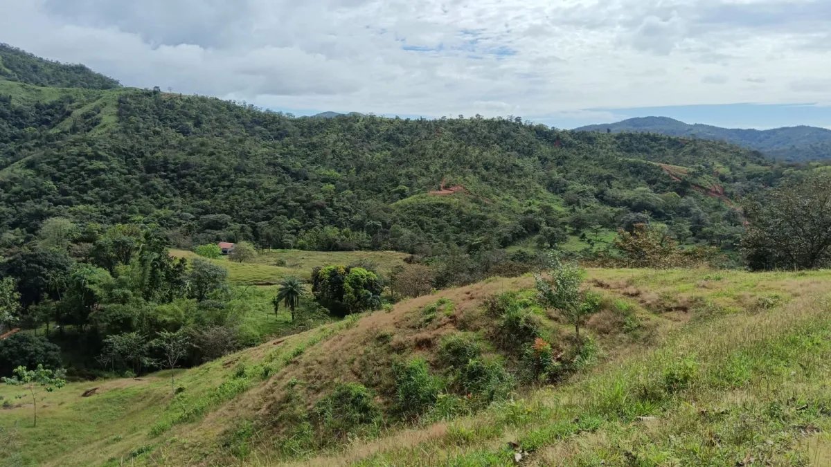 Venta de Terreno en Torio, Veraguas