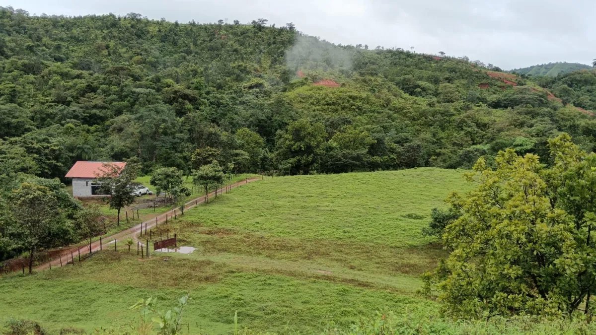 Venta de Terreno en Torio, Veraguas