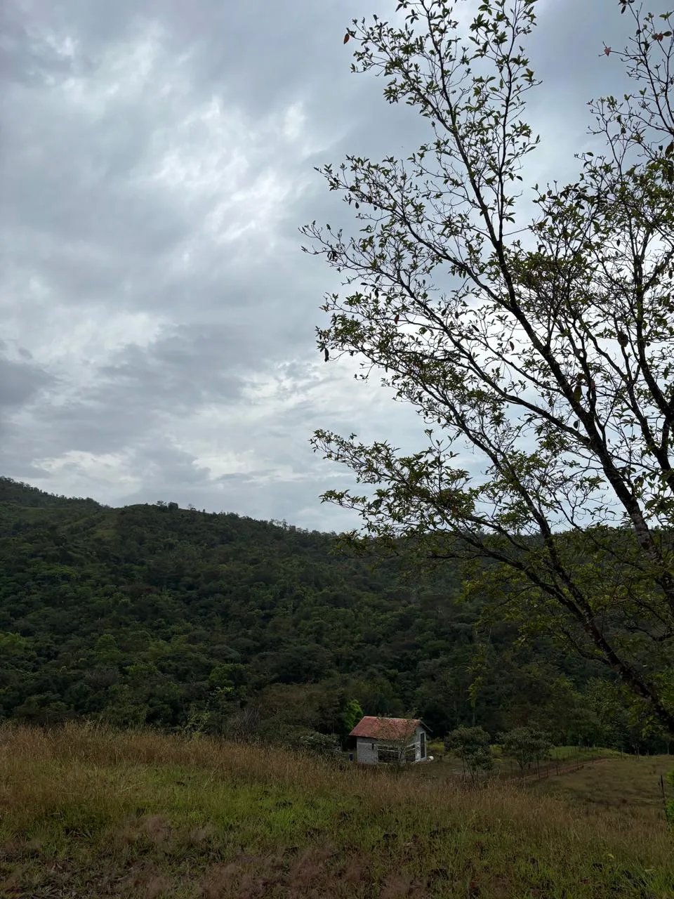 Venta de Terreno en Torio, Veraguas