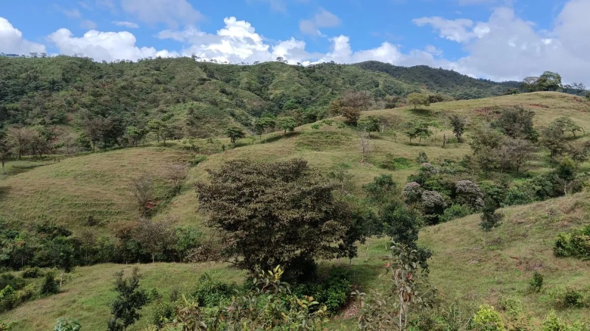 Venta de Terreno en Torio, Veraguas