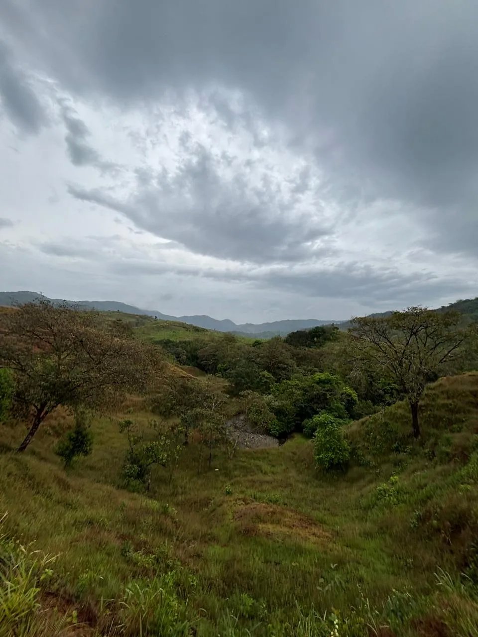 Venta de Terreno en Torio, Veraguas
