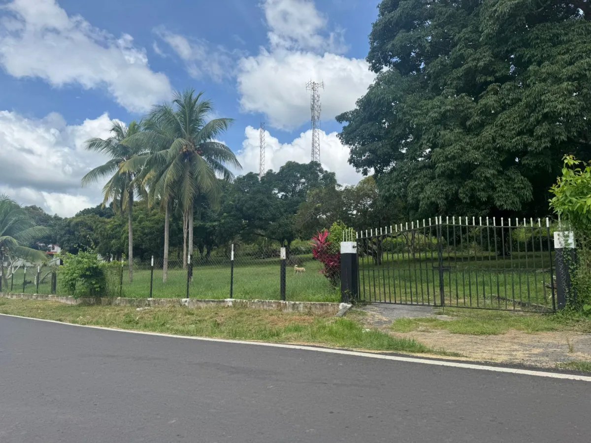 VENDO PROPIEDAD COMERCIAL EL COCO LA CHORRERA