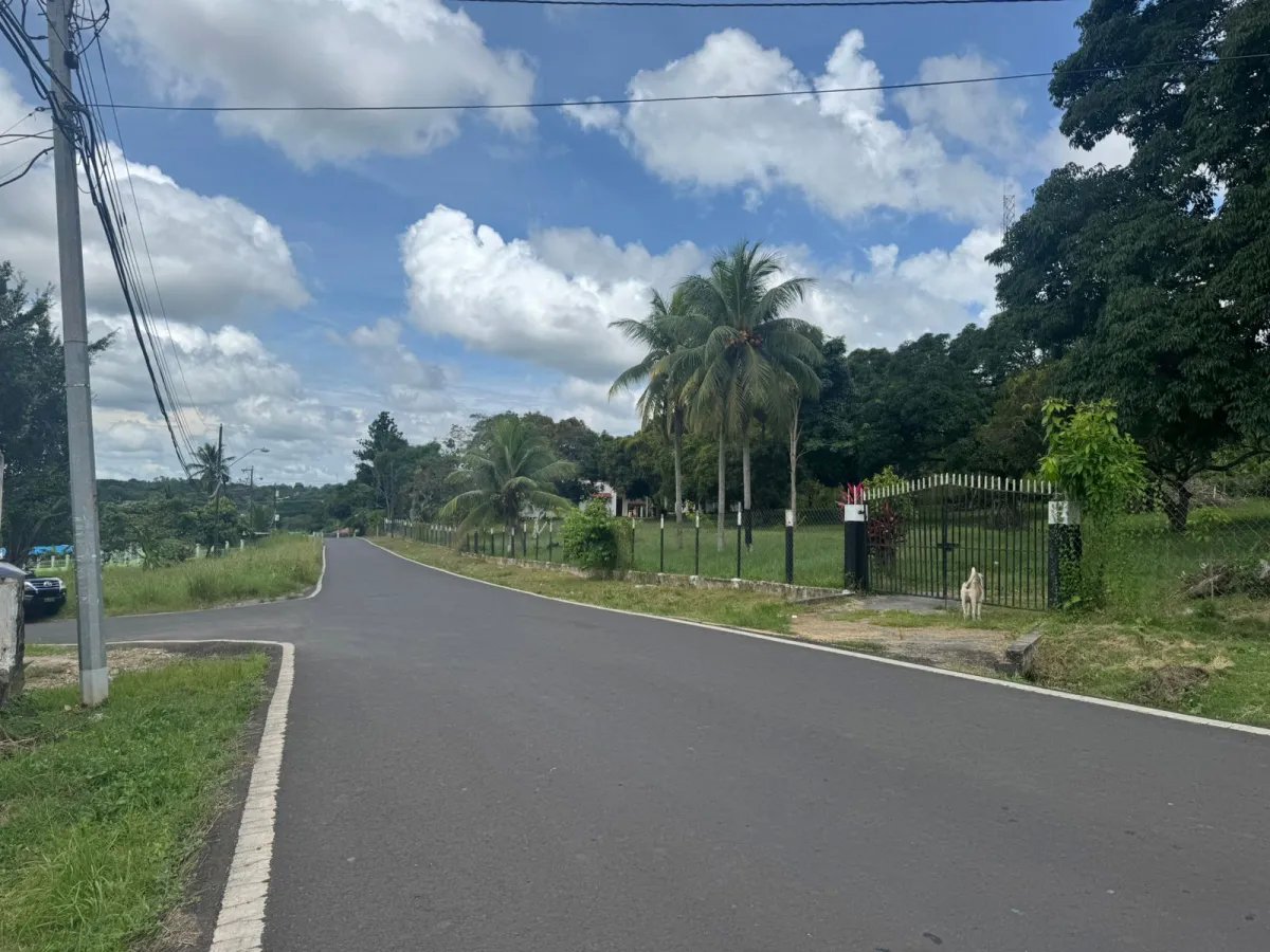 VENDO PROPIEDAD COMERCIAL EL COCO LA CHORRERA