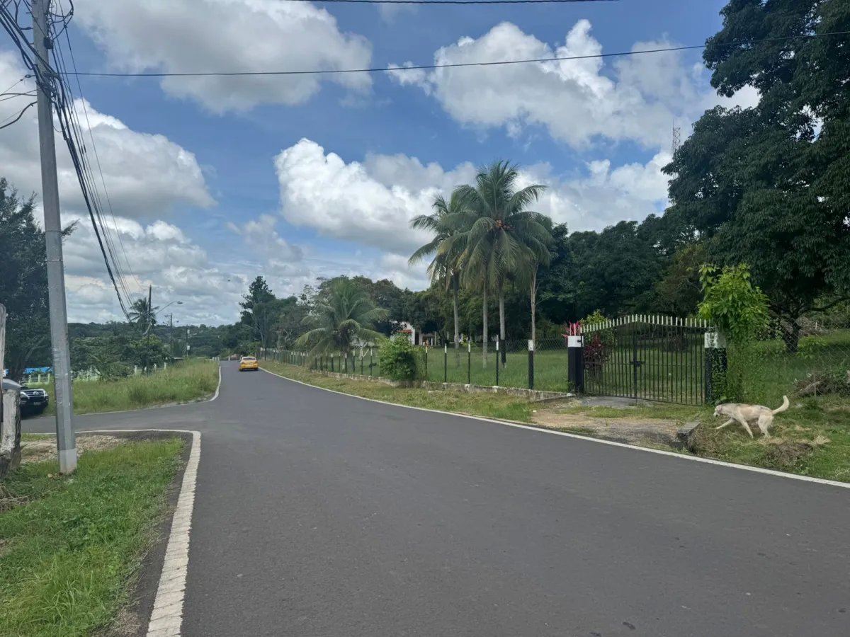 VENDO PROPIEDAD COMERCIAL EL COCO LA CHORRERA