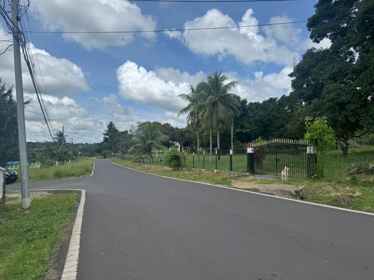 VENDO PROPIEDAD COMERCIAL EL COCO LA CHORRERA