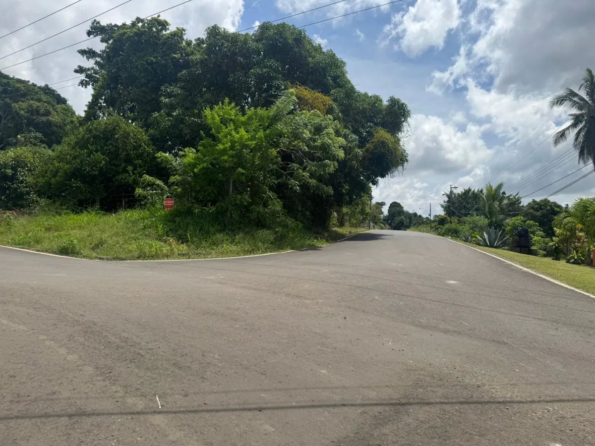 VENDO PROPIEDAD COMERCIAL EL COCO LA CHORRERA