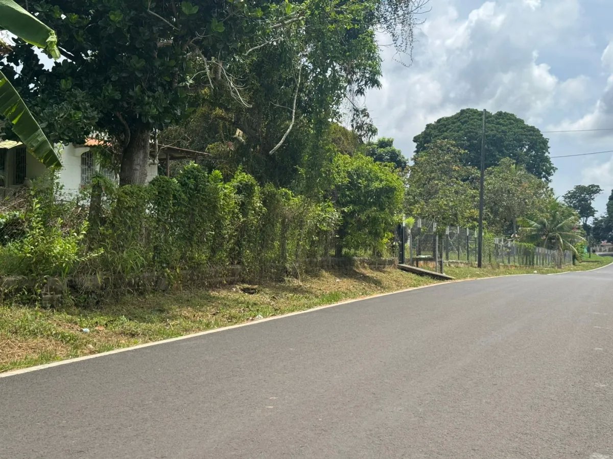VENDO PROPIEDAD COMERCIAL EL COCO LA CHORRERA