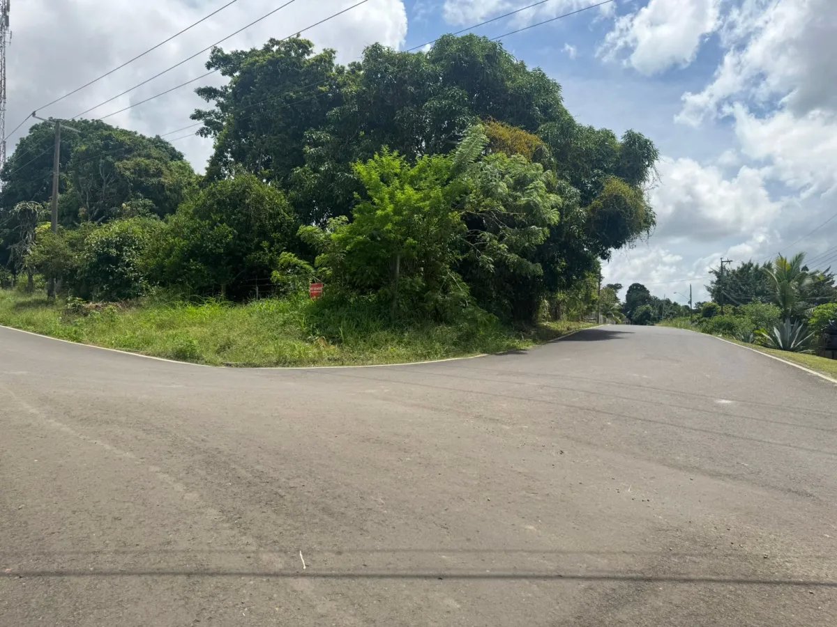 VENDO PROPIEDAD COMERCIAL EL COCO LA CHORRERA