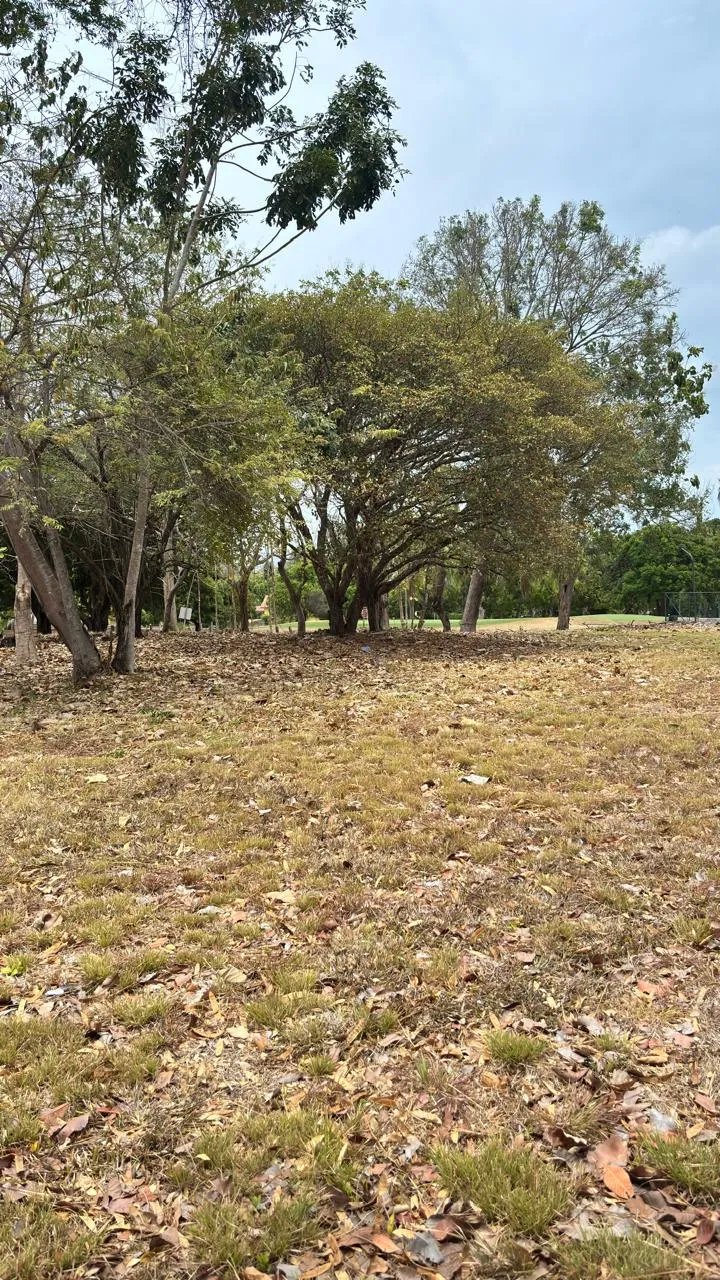 Lotes en Venta en Coronado Luxury Club & Suites