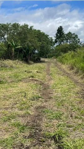 Lote en Venta en el Frances Boquete