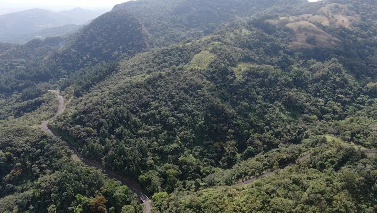 Venta de Terreno en Altos de Maria