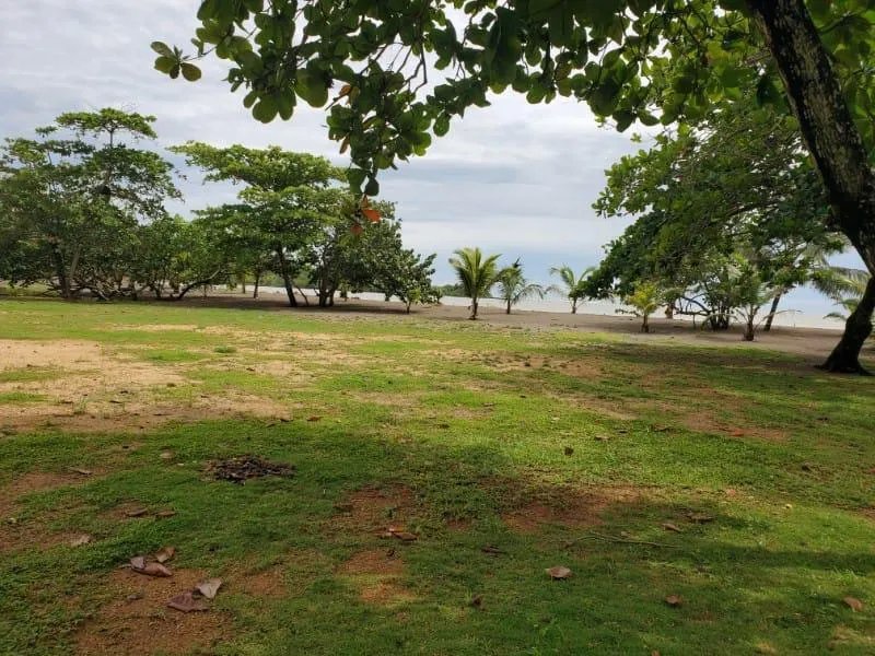 Agriculture For Sale in Nombre de Dios
