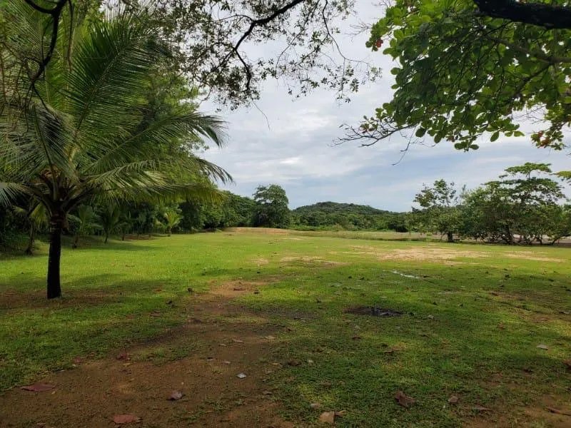 Agriculture For Sale in Nombre de Dios