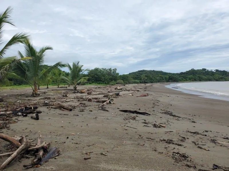 Agriculture For Sale in Nombre de Dios
