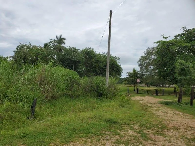 Agriculture For Sale in Nombre de Dios