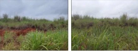 Venta de Terreno en Green Valley  Corregimiento de Pedregal